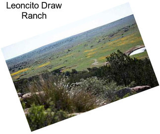 Leoncito Draw Ranch