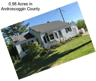 0.98 Acres in Androscoggin County
