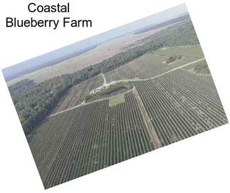Coastal Blueberry Farm