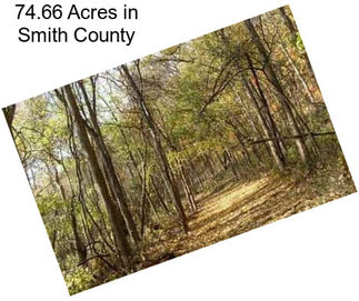 74.66 Acres in Smith County