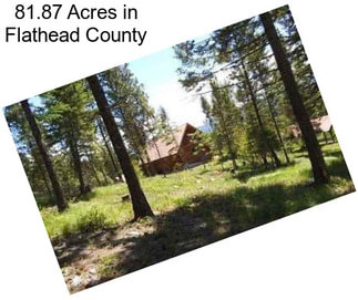 81.87 Acres in Flathead County