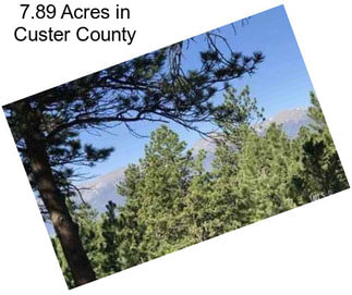 7.89 Acres in Custer County