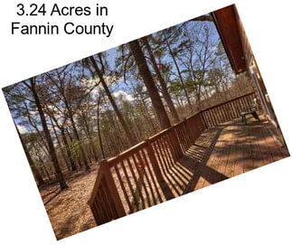 3.24 Acres in Fannin County