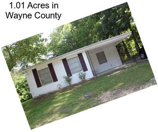 1.01 Acres in Wayne County