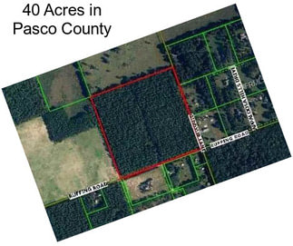 40 Acres in Pasco County