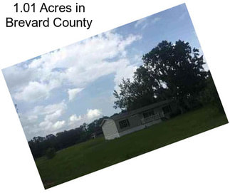 1.01 Acres in Brevard County