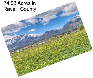 74.93 Acres in Ravalli County