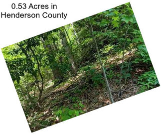 0.53 Acres in Henderson County