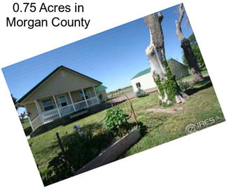 0.75 Acres in Morgan County