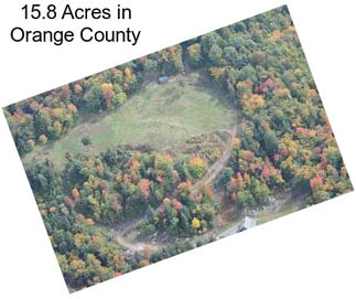 15.8 Acres in Orange County