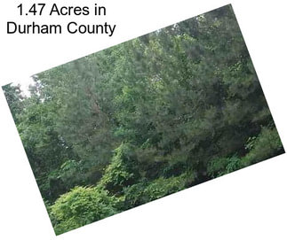 1.47 Acres in Durham County