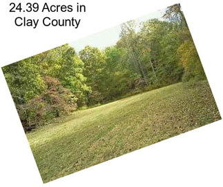 24.39 Acres in Clay County