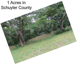 1 Acres in Schuyler County