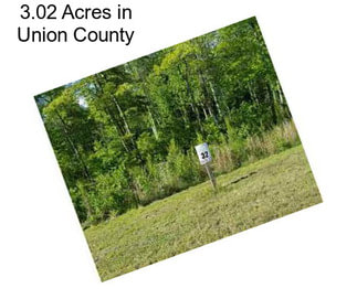 3.02 Acres in Union County
