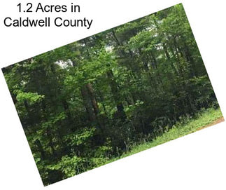 1.2 Acres in Caldwell County