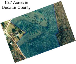 15.7 Acres in Decatur County