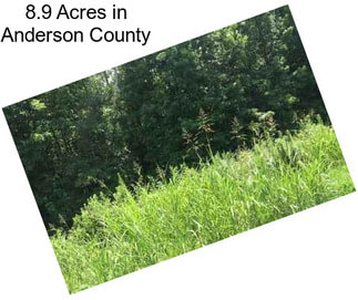 8.9 Acres in Anderson County