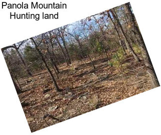 Panola Mountain Hunting land