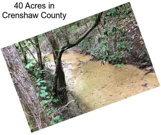 40 Acres in Crenshaw County