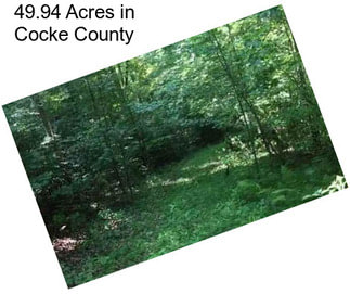 49.94 Acres in Cocke County