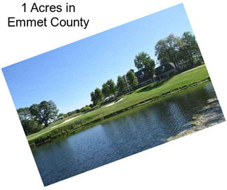 1 Acres in Emmet County