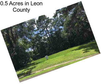 0.5 Acres in Leon County