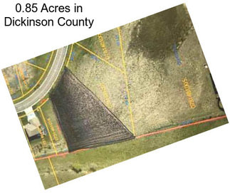 0.85 Acres in Dickinson County