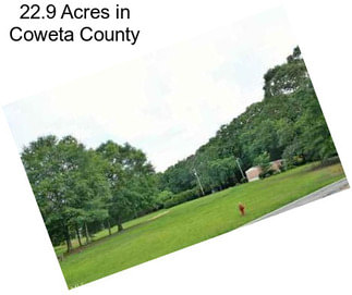 22.9 Acres in Coweta County