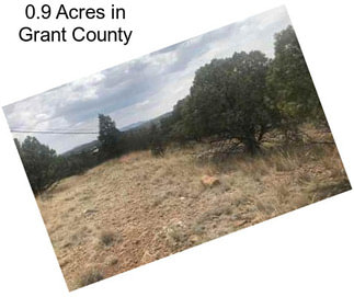 0.9 Acres in Grant County