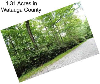 1.31 Acres in Watauga County