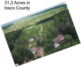 31.2 Acres in Iosco County