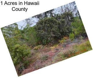 1 Acres in Hawaii County