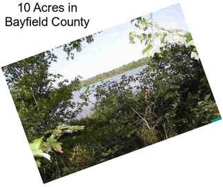 10 Acres in Bayfield County