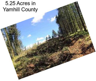 5.25 Acres in Yamhill County