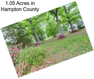 1.05 Acres in Hampton County