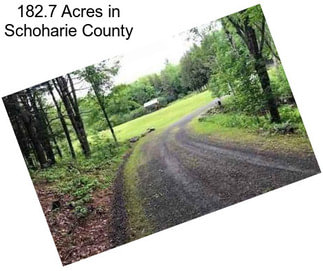 182.7 Acres in Schoharie County
