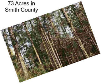 73 Acres in Smith County