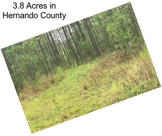 3.8 Acres in Hernando County