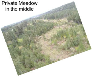 Private Meadow in the middle