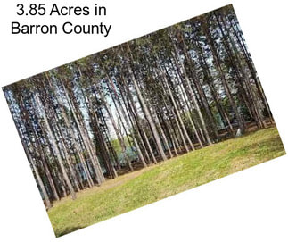 3.85 Acres in Barron County
