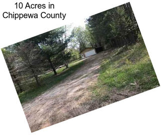 10 Acres in Chippewa County