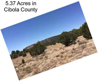 5.37 Acres in Cibola County