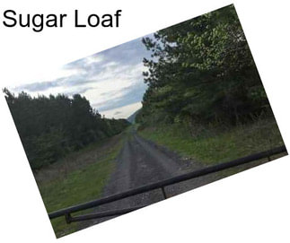 Sugar Loaf