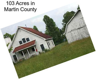 103 Acres in Martin County