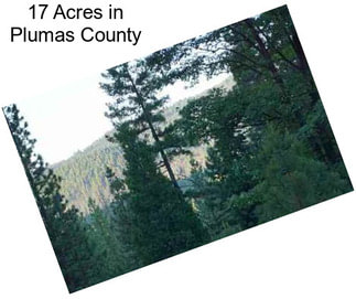 17 Acres in Plumas County
