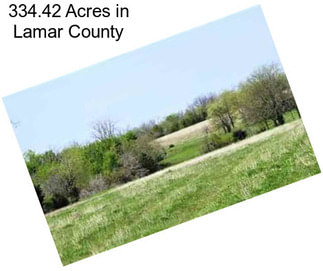 334.42 Acres in Lamar County