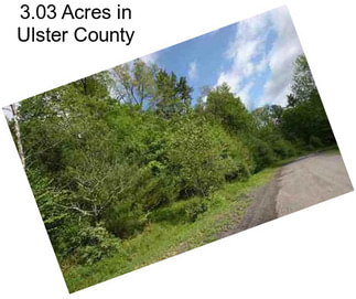 3.03 Acres in Ulster County