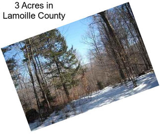 3 Acres in Lamoille County