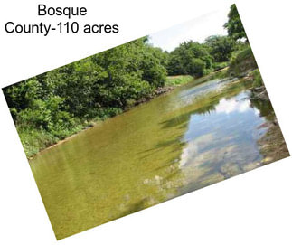 Bosque County-110 acres