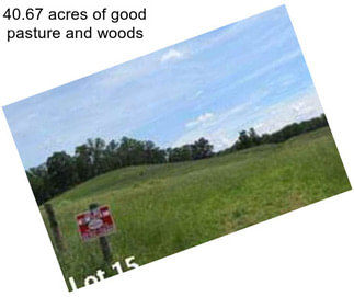 40.67 acres of good pasture and woods